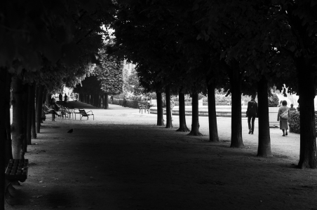 Deeply shaded tree-lined walkway in a Paris parc
