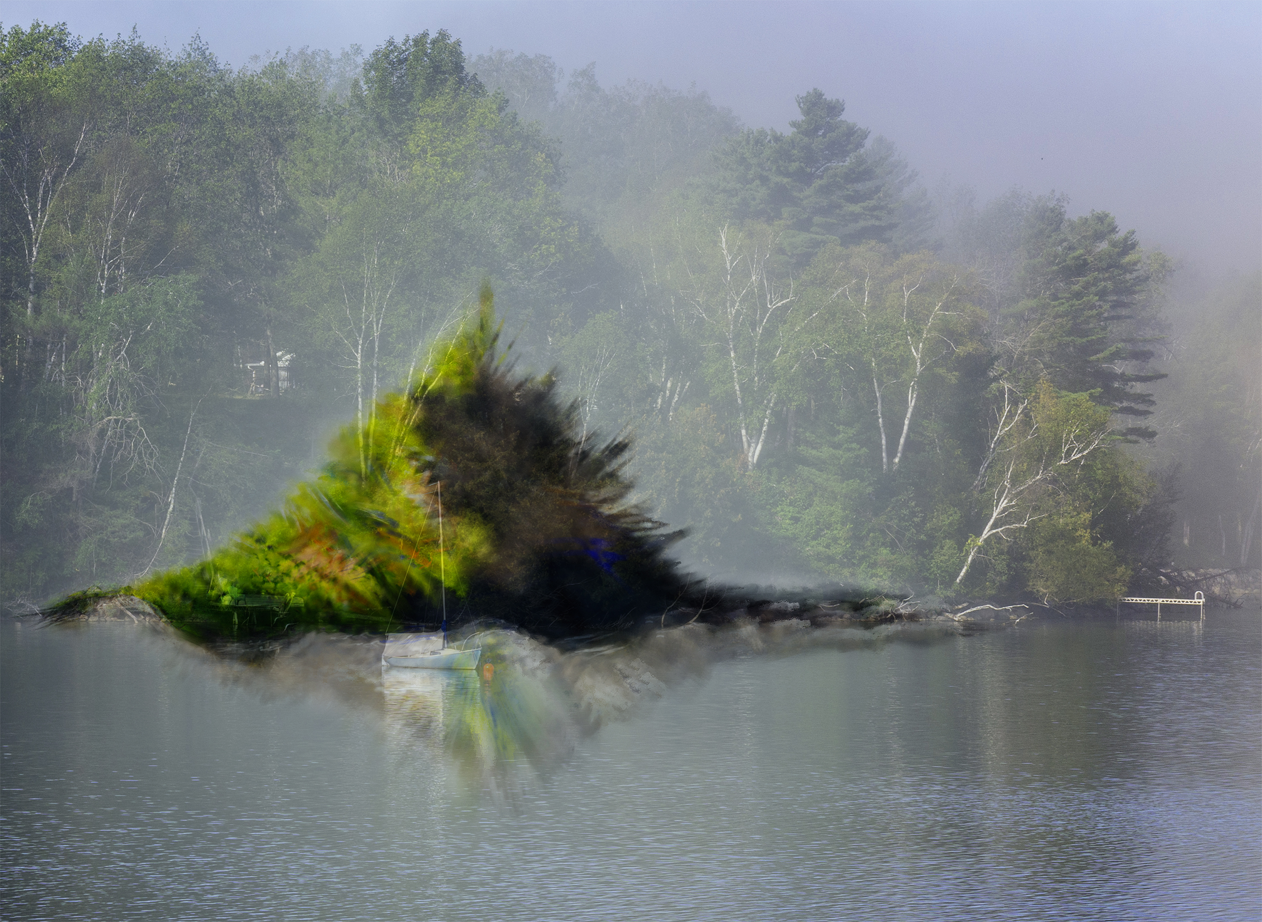 Image composite, bord de lac et verdure superposée.