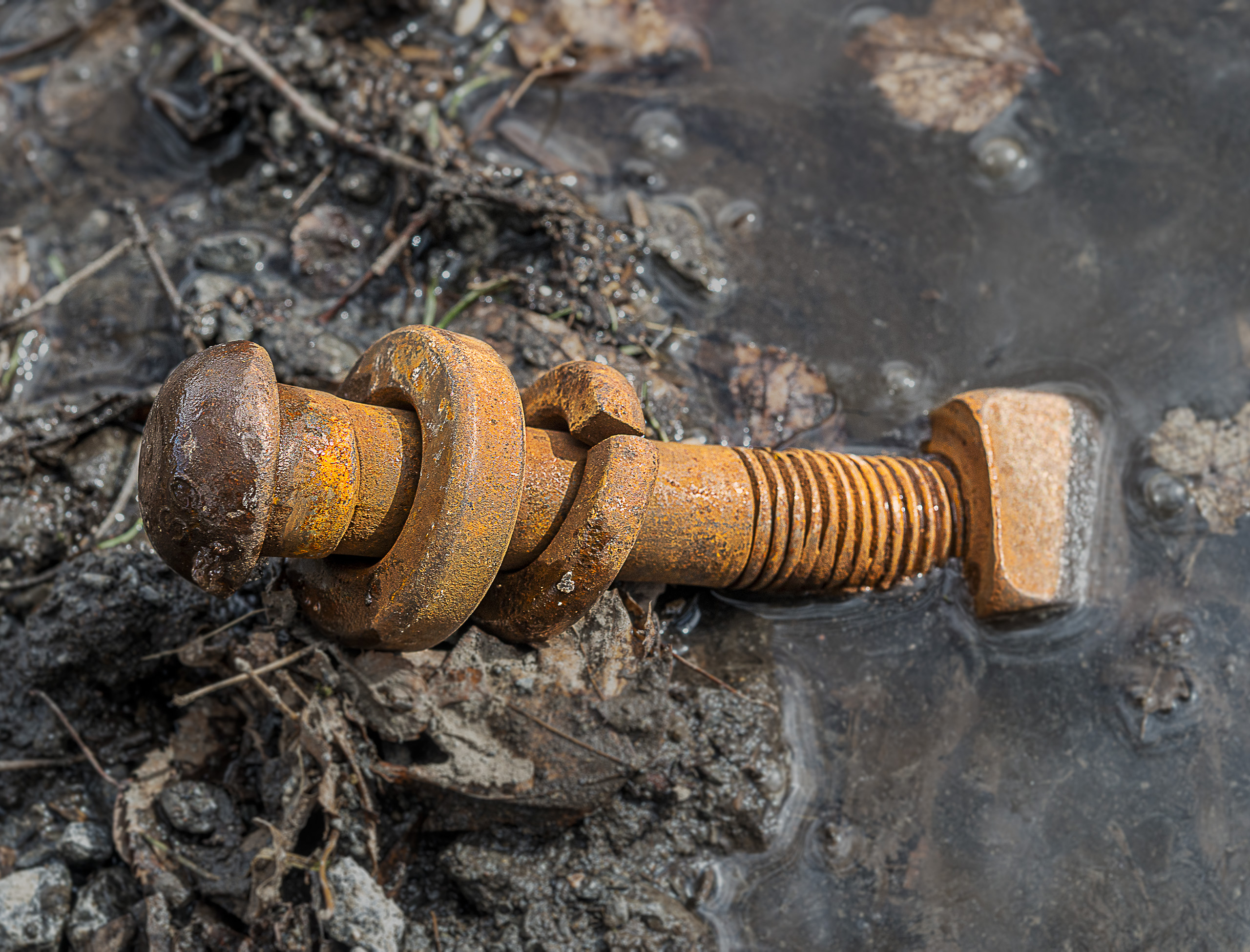 Aging, rusted bolt with nut and washers emerging from pond.