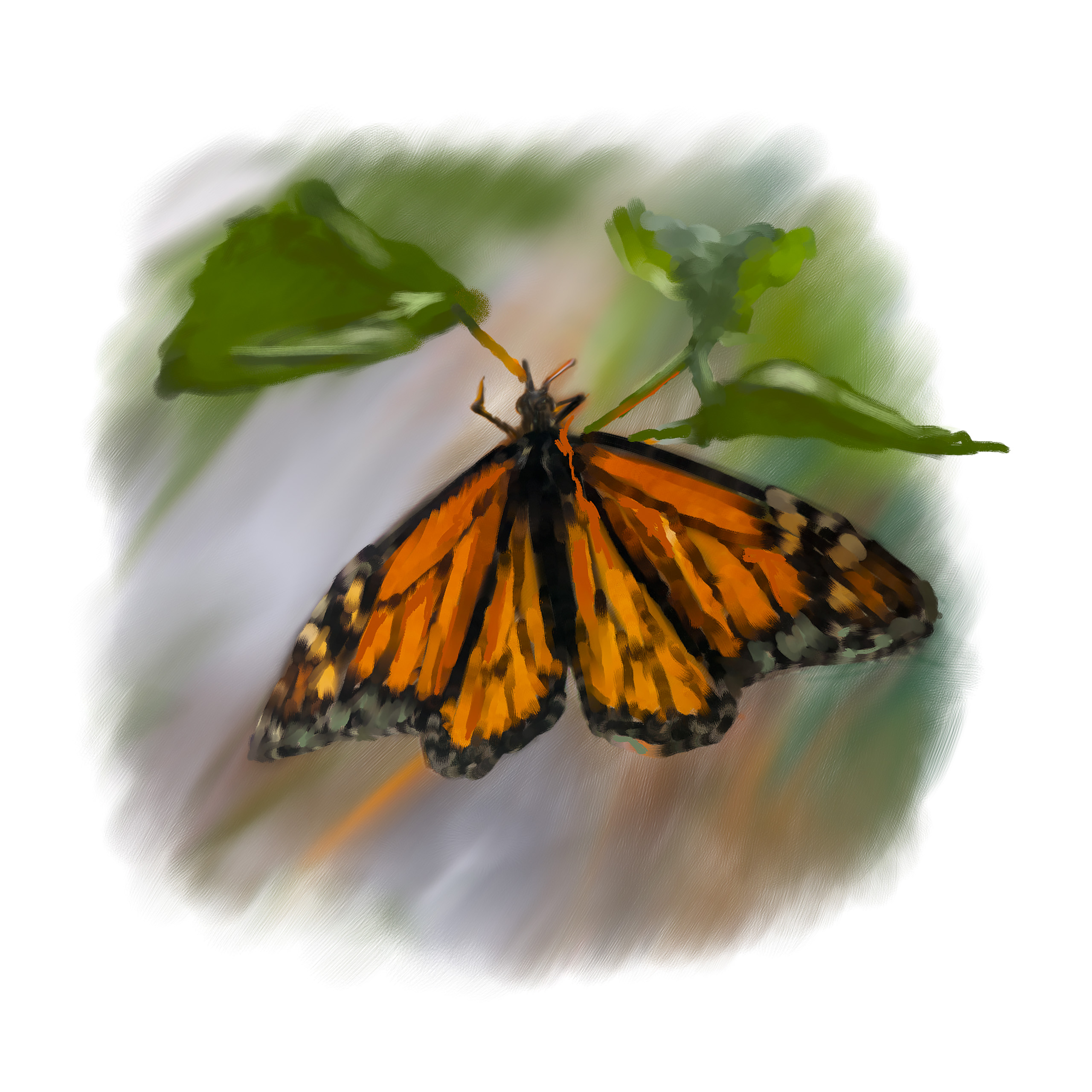 Monarch butterfly on a branch